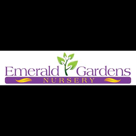 Photo: Emerald Gardens Nursery Photo: Emerald Gardens Nursery
